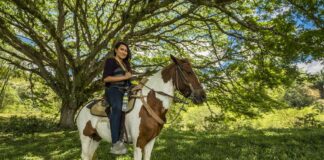 Cabalgatas El Carmelo