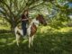 Cabalgatas El Carmelo
