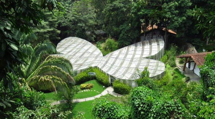 Jardín Botánico y Mariposario