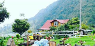 Eco-Hotel Palmas De Cocora