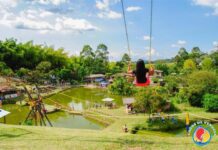 Lagos de Venecia Lagos de Venecia