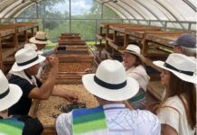 Recorrido del Café Tour del Café