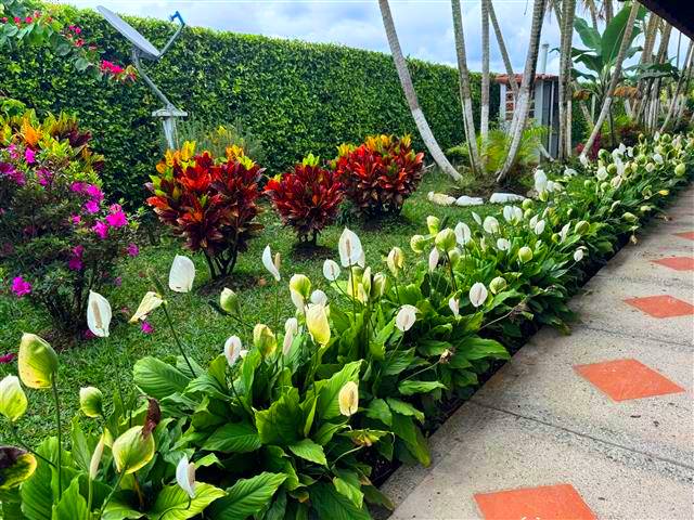 jardines en Casa Campestre Venecia