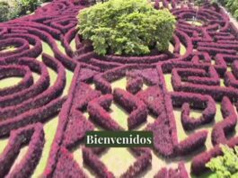 Laberinto Mil Caminos