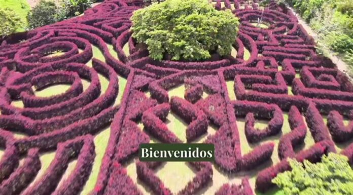 Laberinto Mil Caminos
