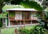 Selva Verde