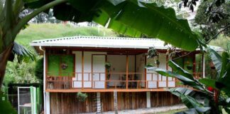Selva Verde