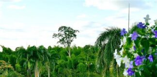Finca Hotel Xplendor