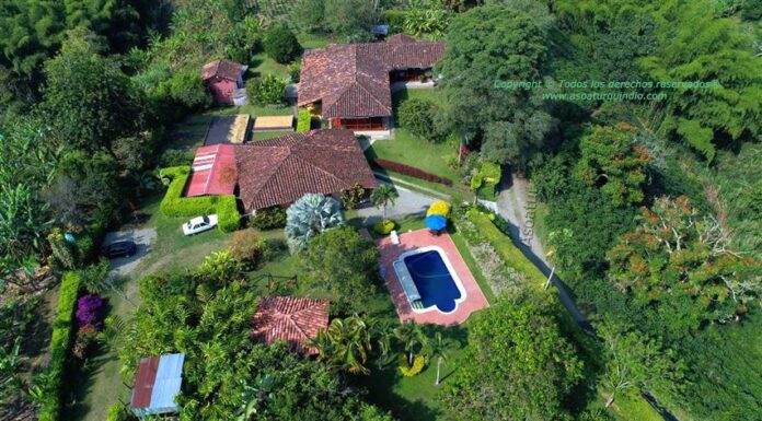 Finca La Pradera N-2