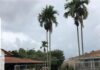 Finca Hotel los Cipreses