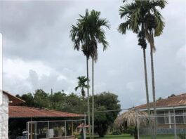 Finca Hotel los Cipreses