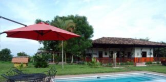 Finca Tradicional la Camelia
