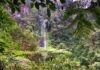 Termales San Vicente