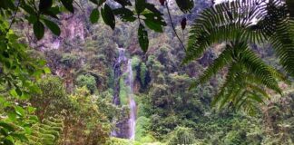 Termales San Vicente