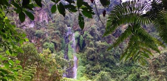 Termales San Vicente