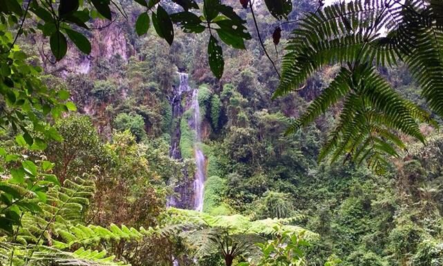 Termales San Vicente